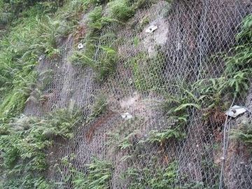 Galvanis Hexagonal Wire Mesh Hexagonal Untuk Perlindungan Bank / Gunung