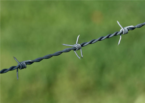 PVC 10kg Razor Barbed Wire Metal Untuk Pagar Atas