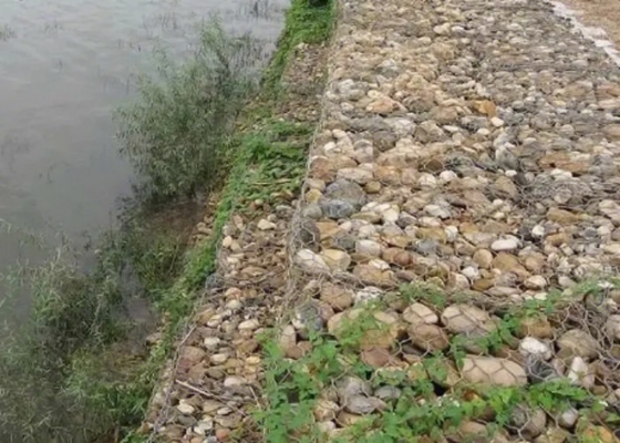 Grey Pvc Coated Hexagonal Gabion Box 2.8mm Wire Diameter