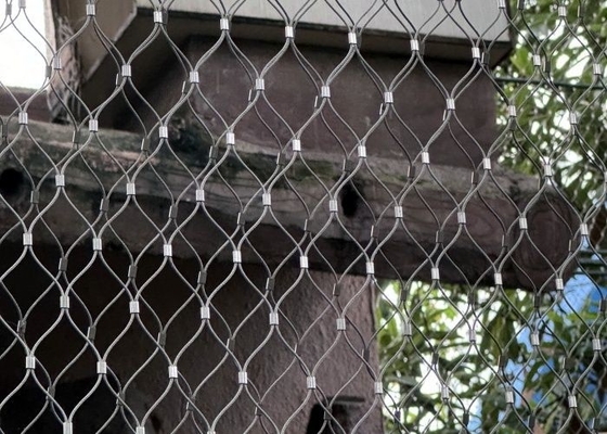Romboid Hole Rockfall Prevention Netting dengan koneksi ferruled untuk kebun binatang
