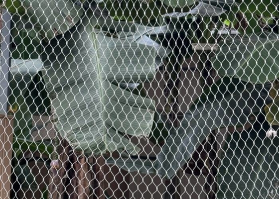 Romboid Hole Zoo Rope Mesh Stainless Steel Flexible Ferroled Untuk kandang hewan