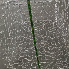 Kawat Gabion Heksagonal Berlapis PVC Galvanis untuk Stabilisasi Lereng