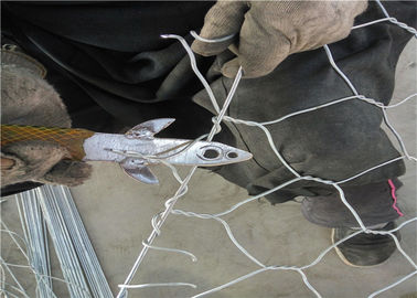Hot mencelupkan keranjang batu, Wire Mesh kawat karbon rendah, ISO9001 disetujui