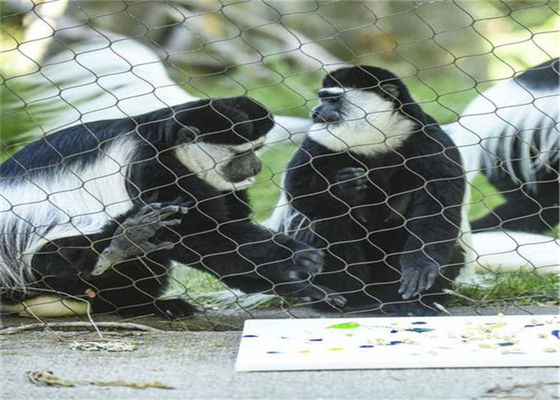 304 Stainless Steel Rope Net ️ Rantai Kabel tahan lama untuk Burung dan Tanaman, Ideal untuk Peternakan Unggas, Keamanan Taman, dan Lapangan Sepak Bola
